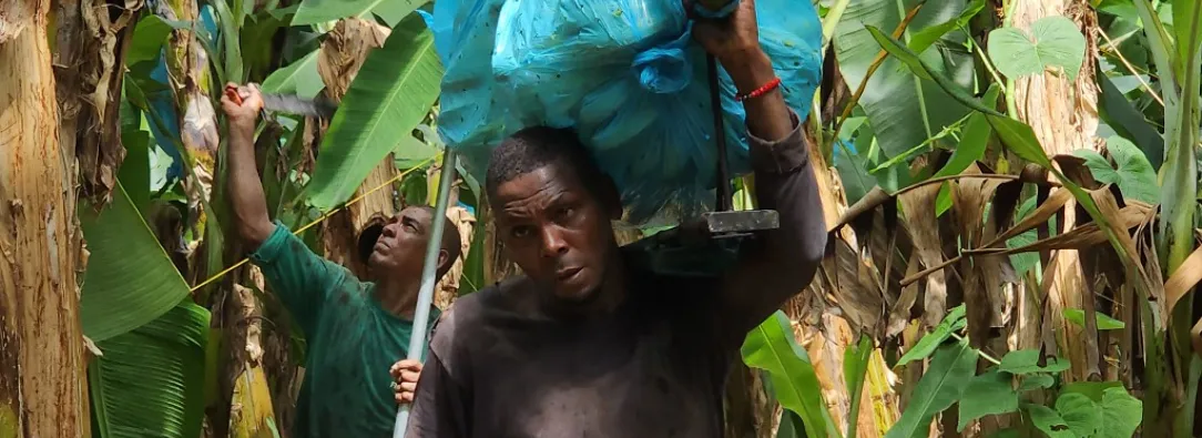 En 2025, la agroindustria en Colombia creció 31%.