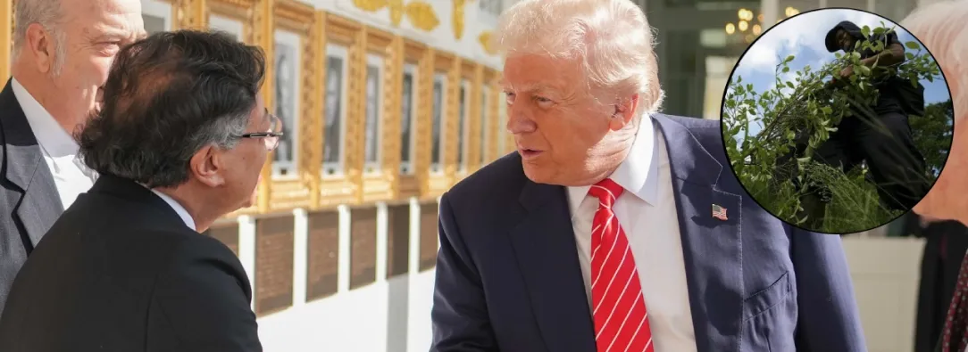 Petro propone a Trump erradicación manual de coca