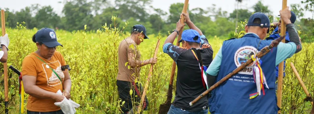 Sustitución voluntaria: la carta que se jugará Petro con Trump.