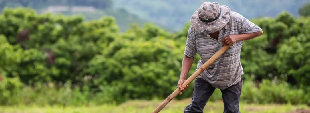 Gobierno presenta cifras históricas en entrega de tierras, producción alimentaria y reducción de pobreza rural