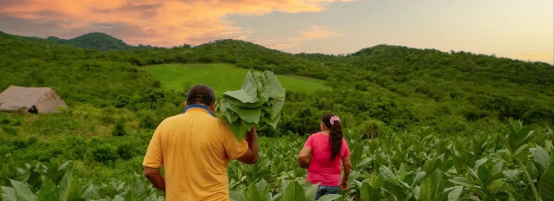 Agencia Nacional de Tierras recupera 427 hectáreas en Antioquia