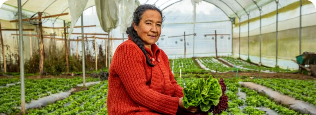 Incremento del presupuesto agropecuario llega a 139%