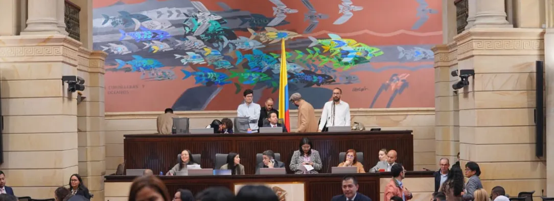 Avanza Proyecto de ley que articula justicia indígena y ordinaria