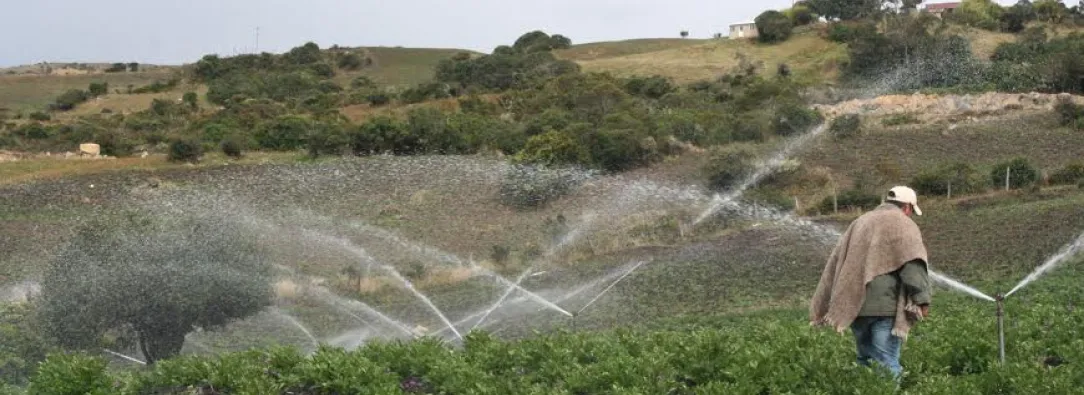 imagen de aspersión de agua en un cultivo en Boyacá