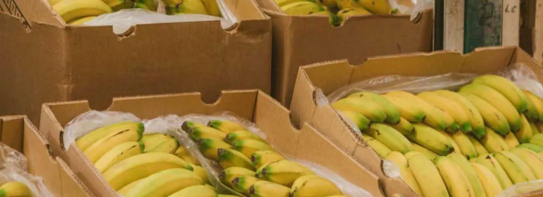 Exportaciones en febrero. / Foto: MinAgricultura.