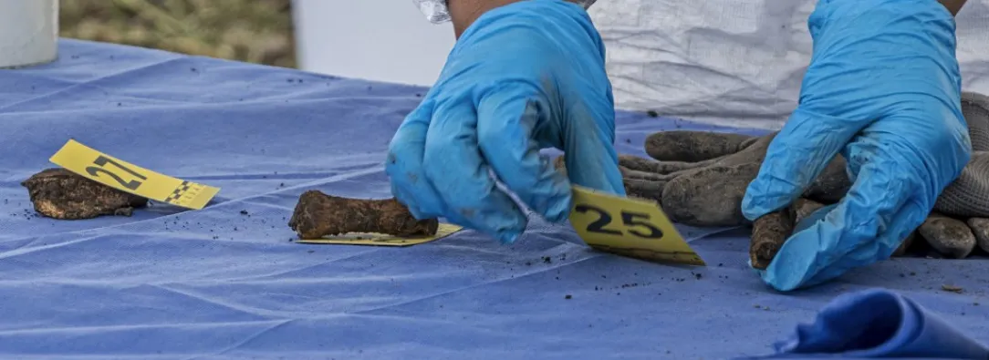 Hallan más de mil fragmentos óseos en lago de Ciudad de México