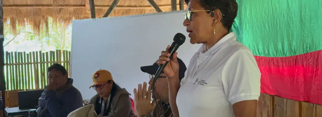 Gobierno ordena medidas especiales para proteger a 31.000 indígenas en el Cauca