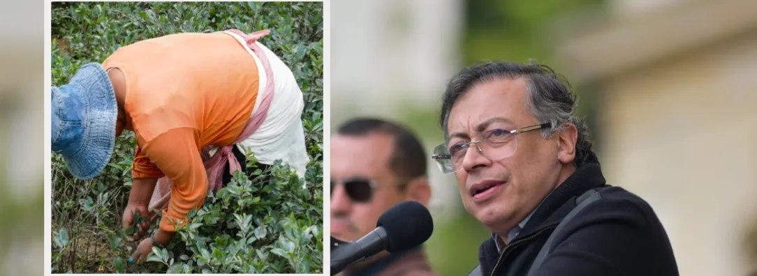 Presidente Petro sobre reducción de cultivos ilícitos. / Fotos: Presidencia y Radio Nacional de Colombia.