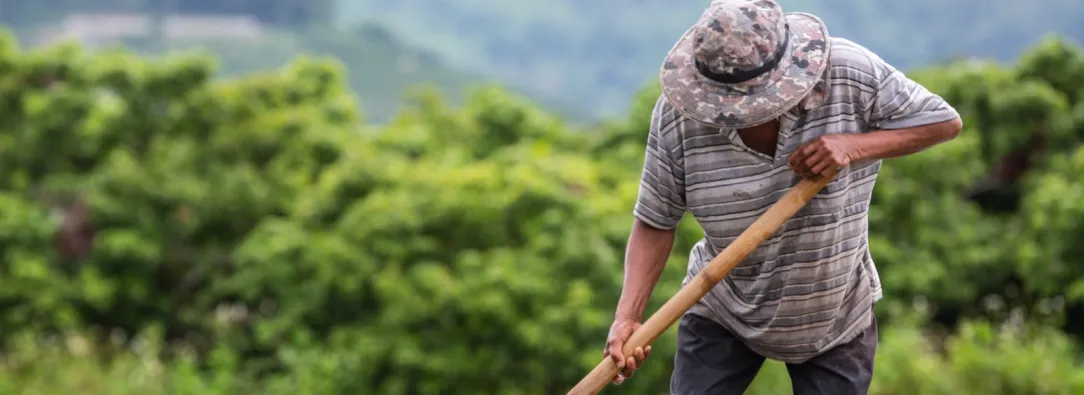 Más de 1,8 millones de hectáreas devueltas: la reforma agraria le cambia la vida a medio millón de víctimas del conflicto