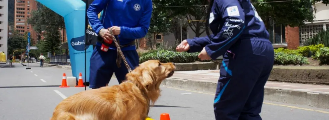 Las ciclovías de Bogotá contarán con nuevas estaciones para mascotas y sus cuidadores, con actividades de bienestar, recreación y nutrición animal disponibles desde mayo y hasta final de año.