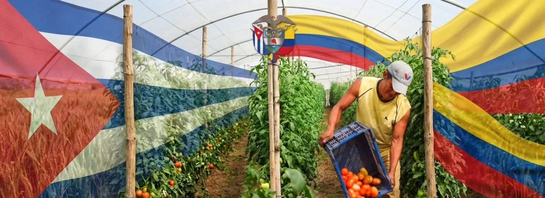 Cuba ayuda humanitaria Petro Colombia