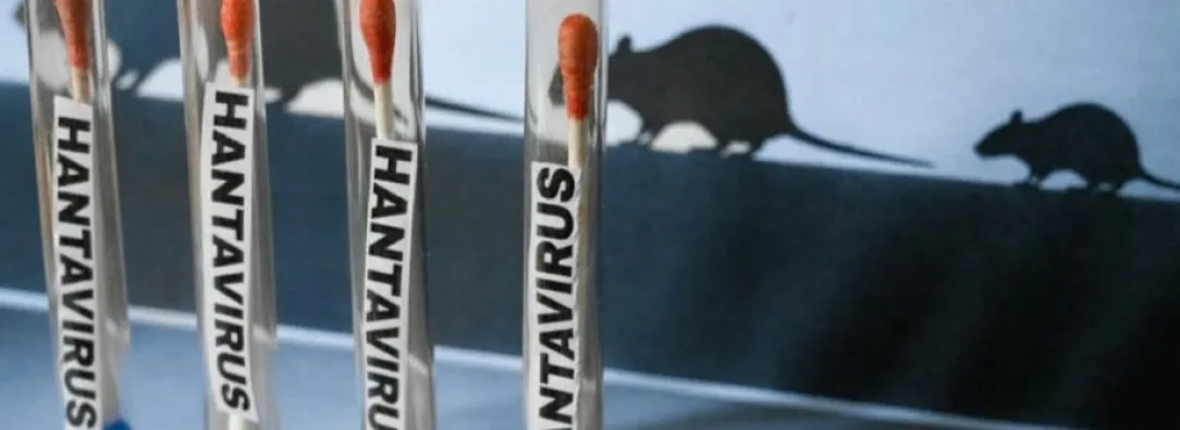  número de casos de hantavirus detectados