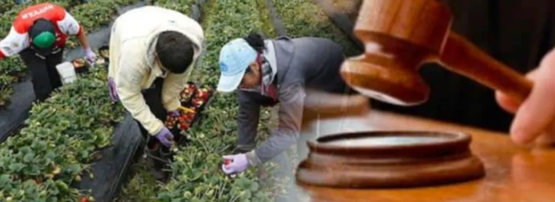 Firmantes de paz piden al Congreso para que apruebe la Jurisdicción Agraria, una deuda histórica con el campo colombiano
