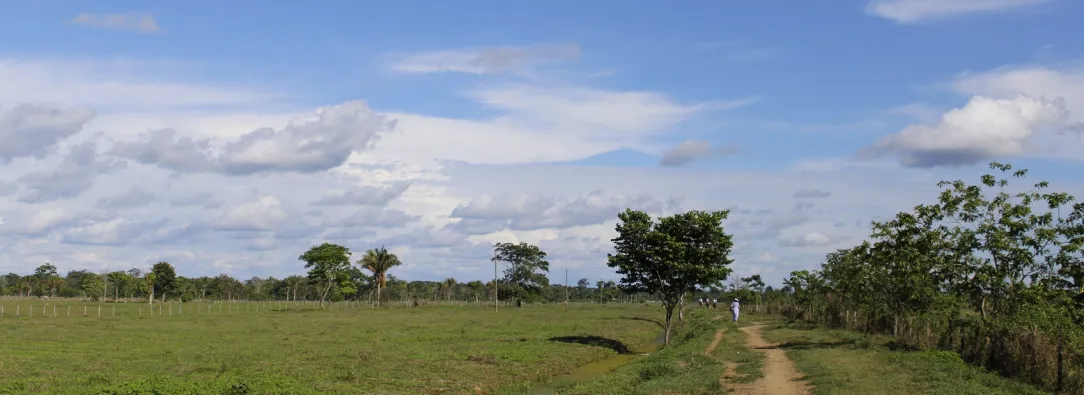 Reforma agraria Gobierno cuestiona fallo de la Corte
