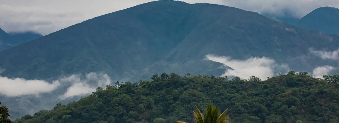 Histórico: declaran la Sierra Nevada de Santa Marta como reserva libre de minería y petróleo