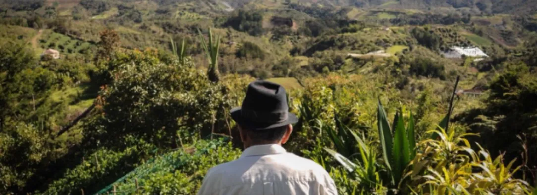 campesino mayor de espaldas, mirando hacia el campo en el horizonte