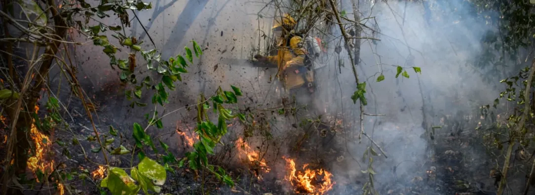 Colombia en alerta por incendios: 114 municipios bajo amenaza