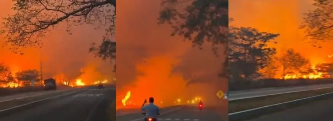 Incendios forestales en Tolima dejan cerca de 20 mil hectáreas afectadas