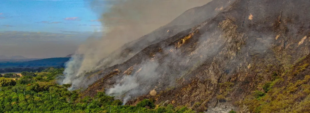 Más de $9.000 millones y ayudas para el campo: así será la recuperación del Tolima tras los incendios forestales