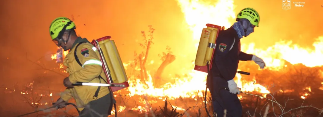 Una colilla, una fogata, un desastre: así puede prevenir incendios forestales