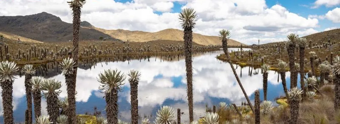 En los Andes, El Niño seca el agua de la que depende el 70 % de los colombianos