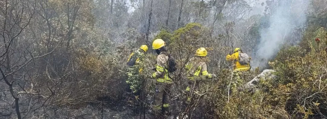 Incendio en el cerro de San Marcos está casi controlado, según confirmó la UNGRD