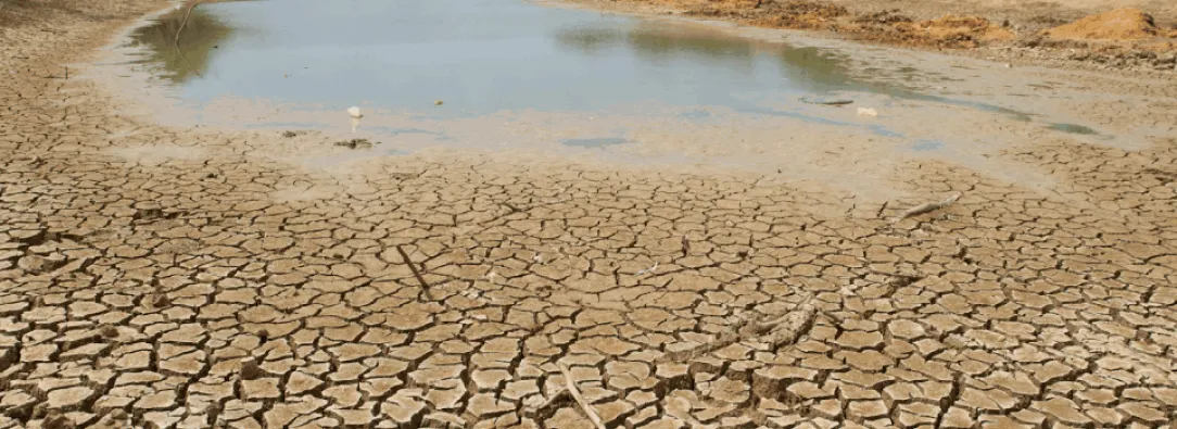 No te pierdas hoy el especial sobre los retos en Colombia ante el fenómeno El Niño por RTVC