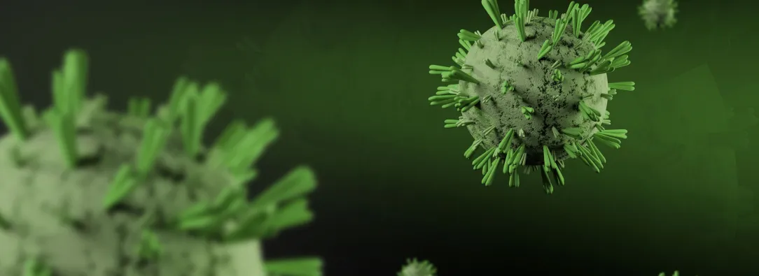 Francia reporta el primer fallecido por el virus Shamonda