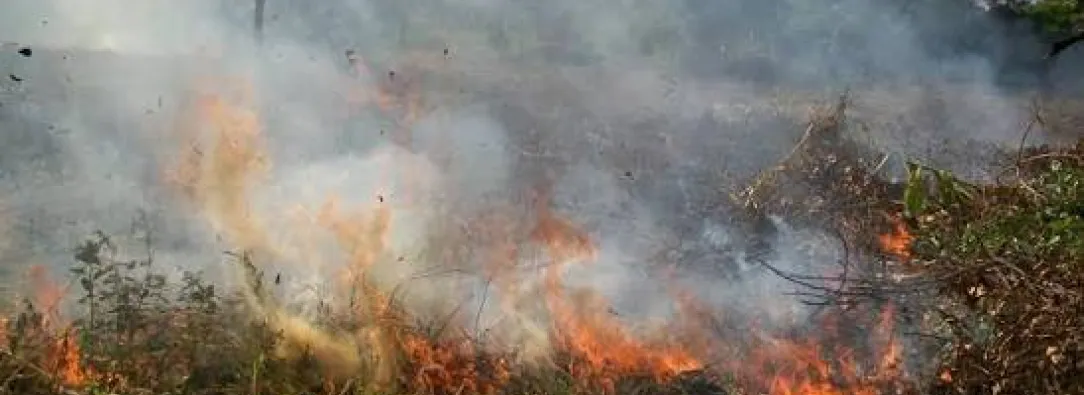 UNGRD activa plan nacional para combatir incendios forestales en 18 departamentos