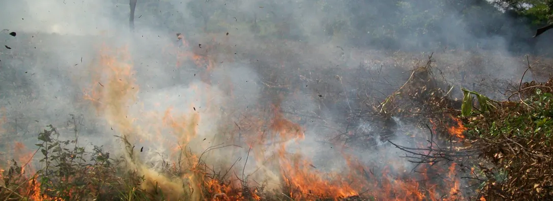 IDEAM declara fenómeno de El Niño en Colombia
