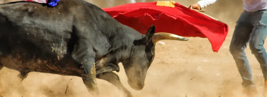 Manizales aplaza Corridas De Toros por normativa nacional antitaurina