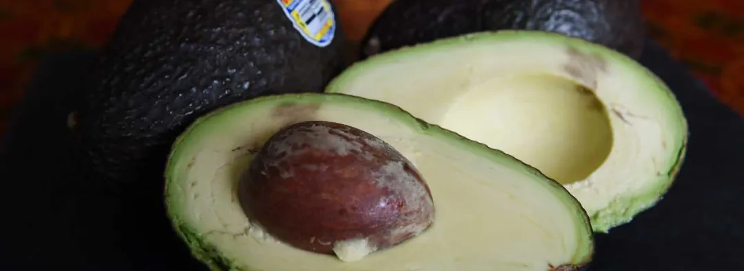 Aguacate-Hass-AFP.jpg