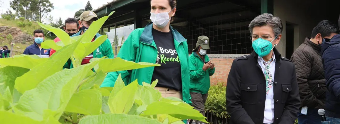 Bogota-siembra-arboles.jpg