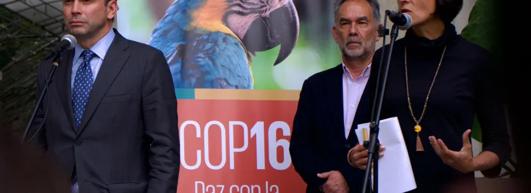 COMITE-COP16.jpeg