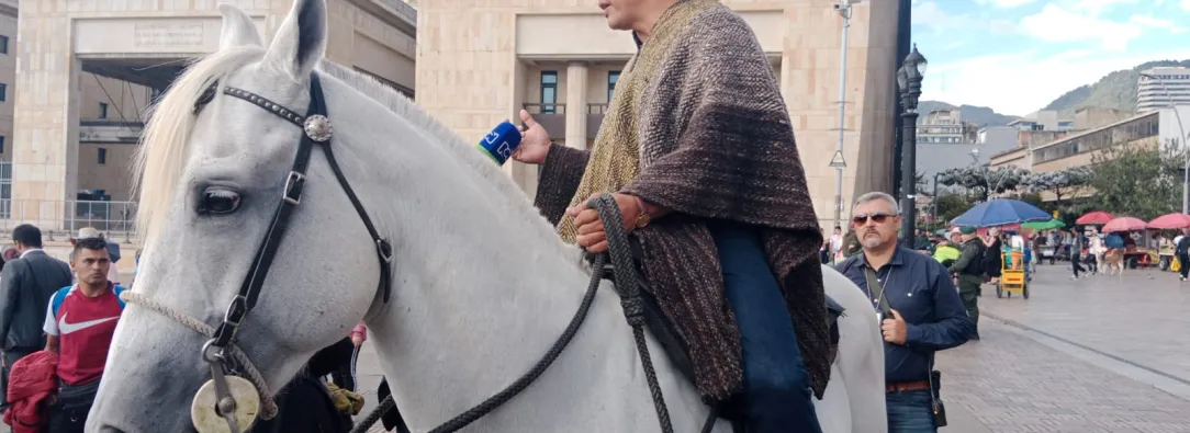 Caballo-en-el-Congreso.jpeg