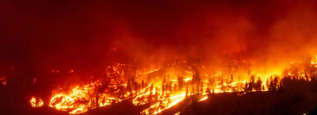 Cambio-climatico-ha-sido-determinante-en-ola-de-incendios-de-Canada-indico-estudio.jpg