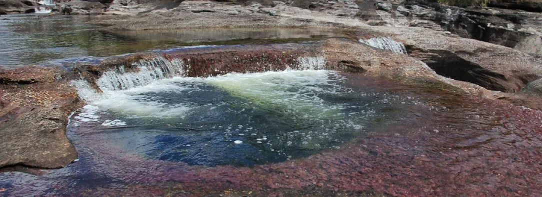 Cano-Cristales-Cierre.jpg