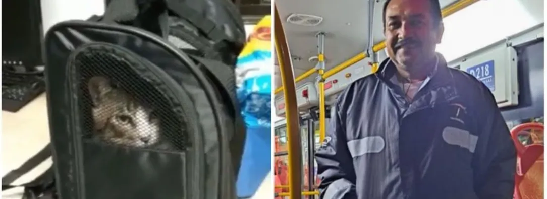 Conductor-de-TransMilenio-adopto-a-gatico-abandonado-en-un-bus.jpg
