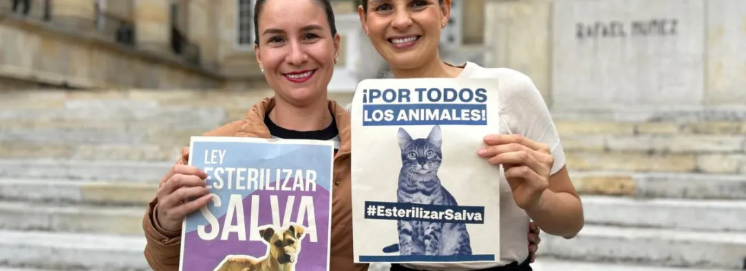 Esterilizacion-de-perros-y-gatos-alcance-y-financiacion-que-tendra-el-programa.jpg