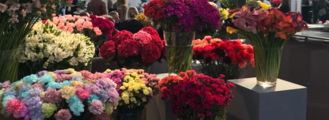 Flores-Foto-Asocolflores.jpg