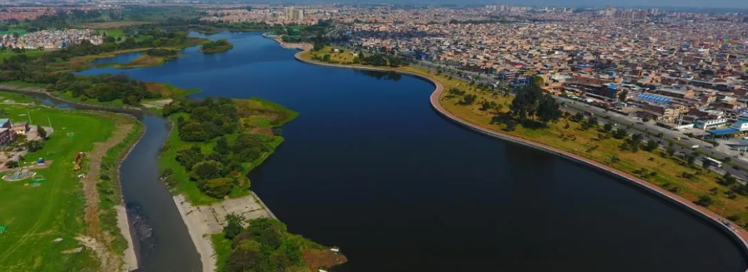 Humedal-en-Bogota-foto-Alcaldia-de-Bogota.jpg