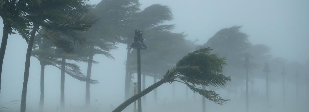 Huracan-Irma-WWF.jpg
