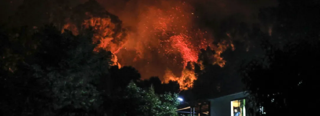 Incendios-forestales-Chile-1.jpg