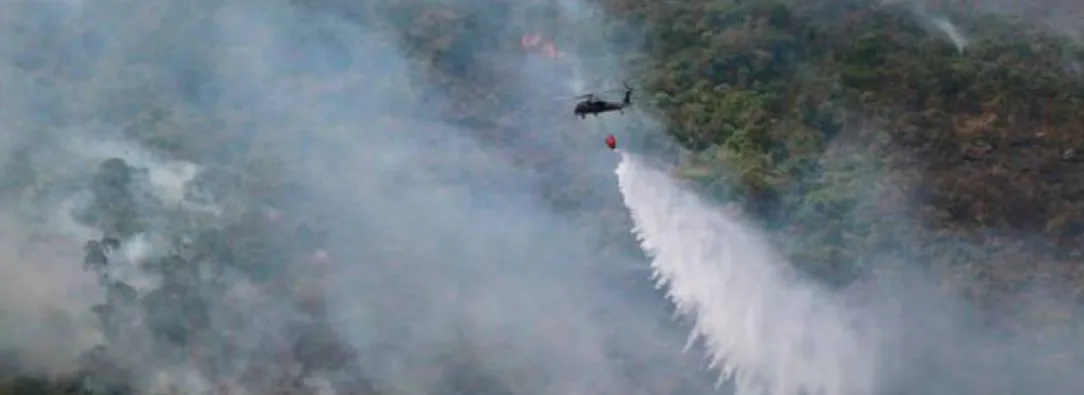 Incendios-forestales-Gauviare.jpg
