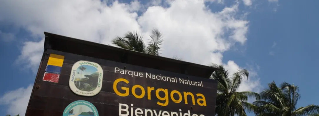 Isla-Gorgona.jpg