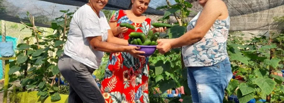 La-gran-apuesta-que-empodera-a-56-mujeres-campesinas-de-Canutal-Sucre.jpg