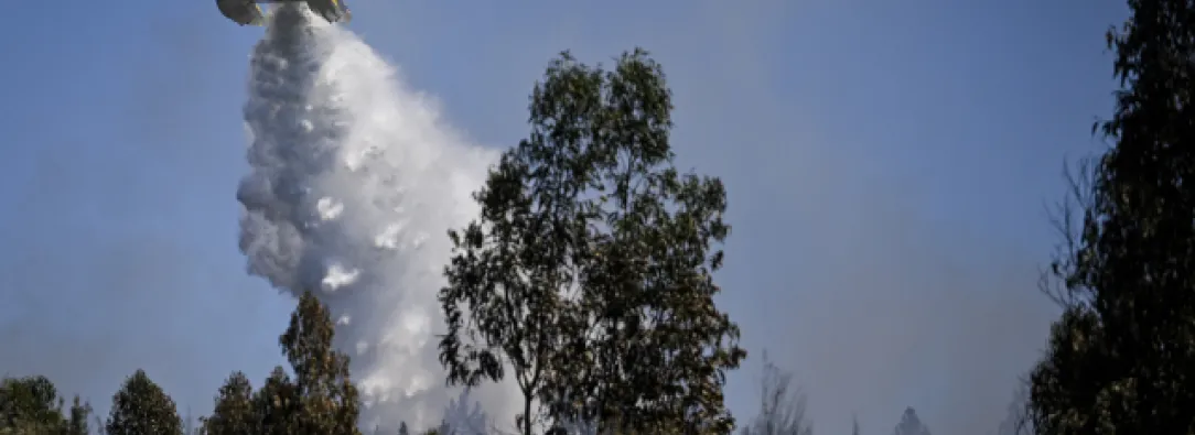 Portugal-lucha-contra-los-incendios-forestales-y-Espana-sigue-en-alerta-por-el-calor.jpg