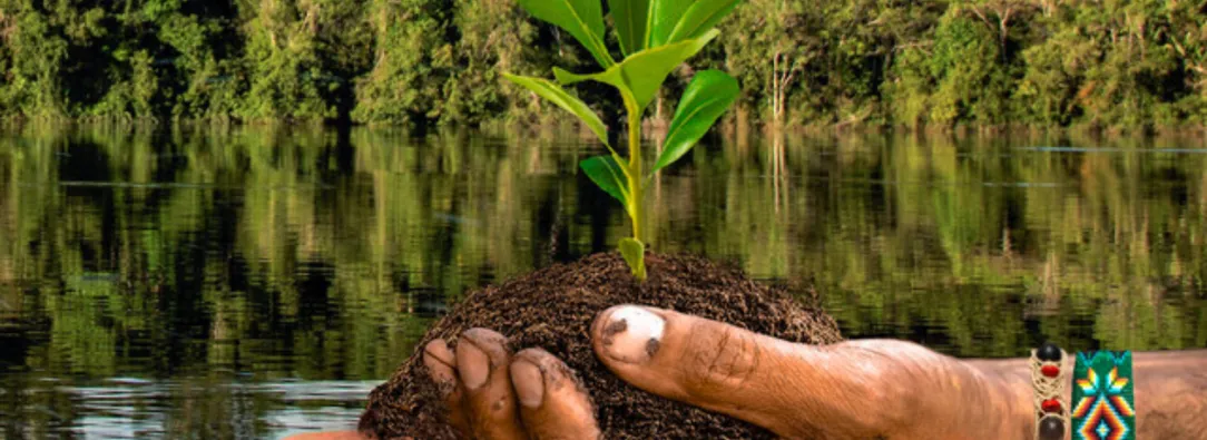 Que-es-la-reforestacion-1.jpg