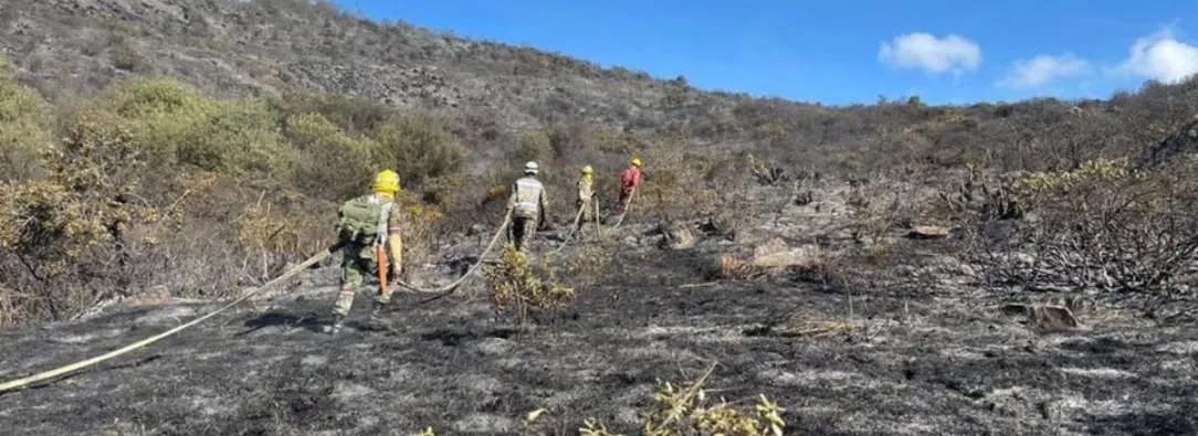 Santander-incendios-forestales-danaron-varias-hectareas-de-zonas-naturales.jpg