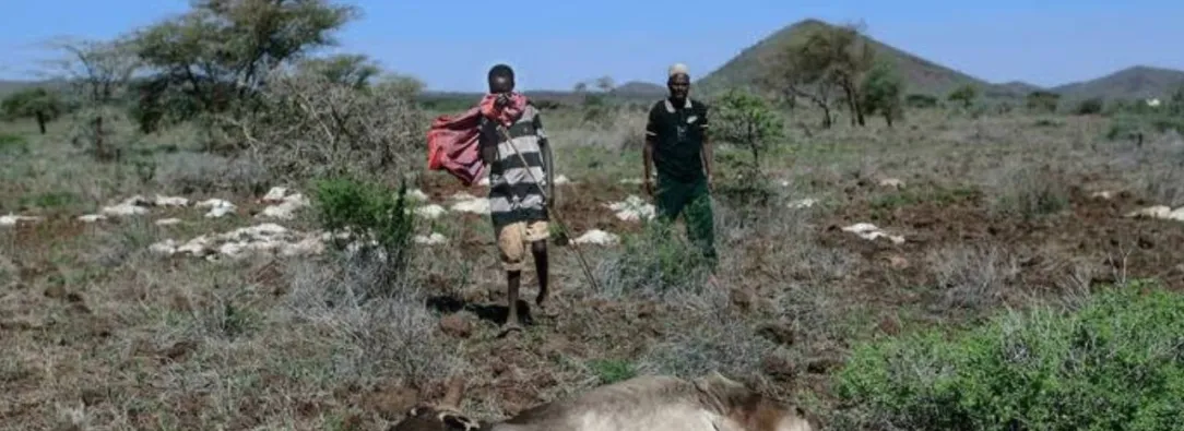 Sequia-en-Kenia-afecta-pastores.jpg